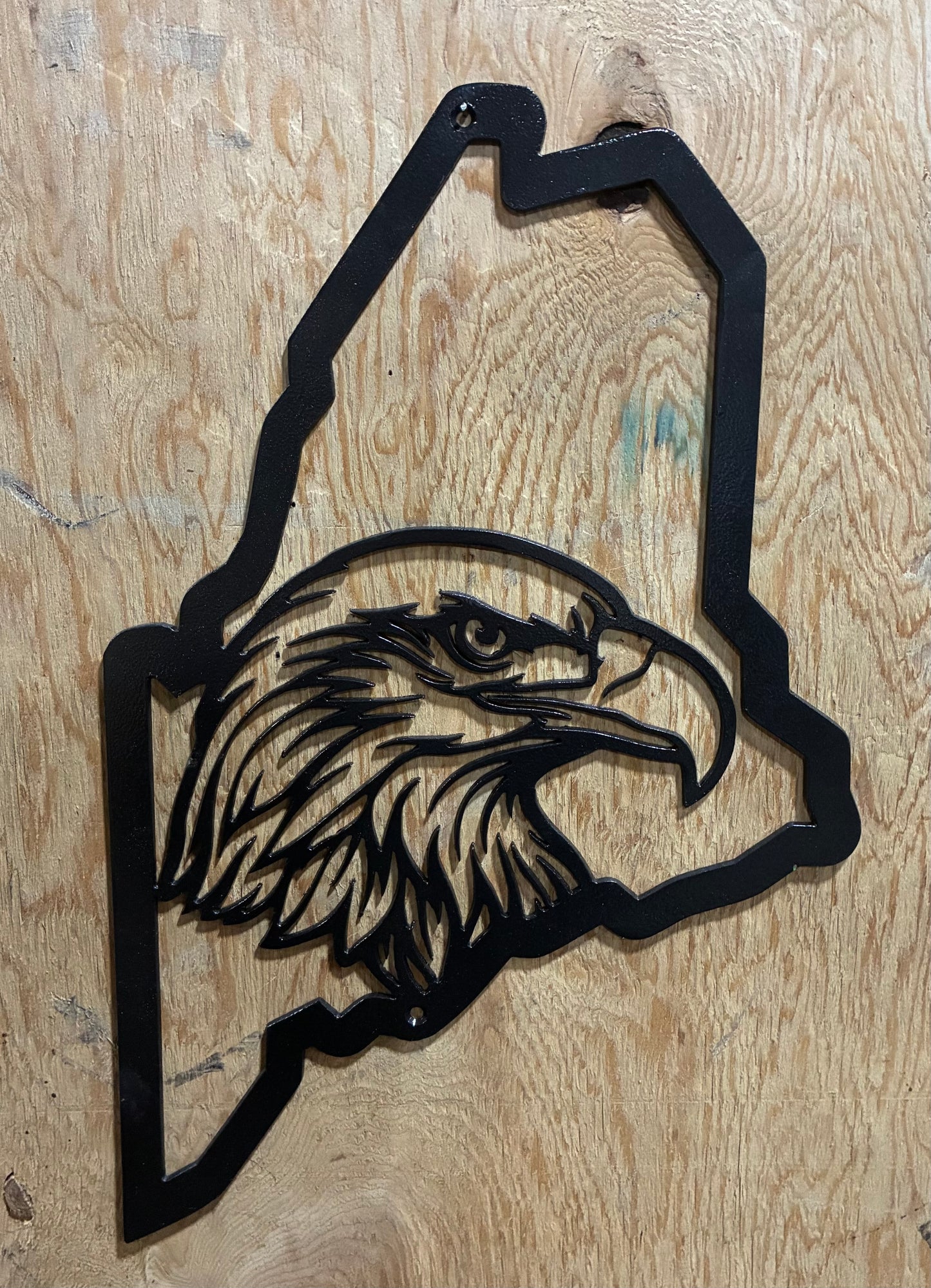 🦅Maine Bald Eagle🌲